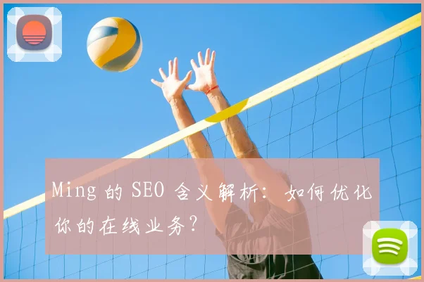 Ming 的 SEO 含义解析：如何优化你的在线业务？