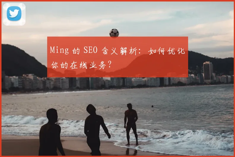 Ming 的 SEO 含义解析：如何优化你的在线业务？