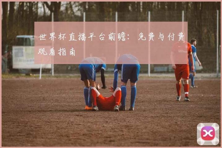 世界杯直播平台前瞻：免费与付费观看指南