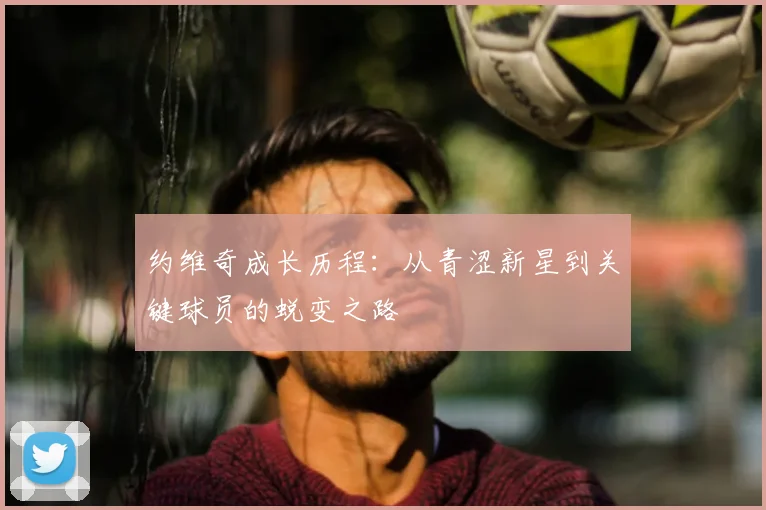约维奇成长历程：从青涩新星到关键球员的蜕变之路